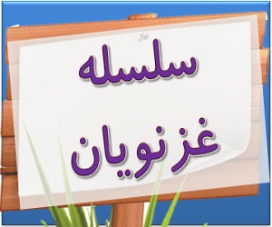 12-غزنویان